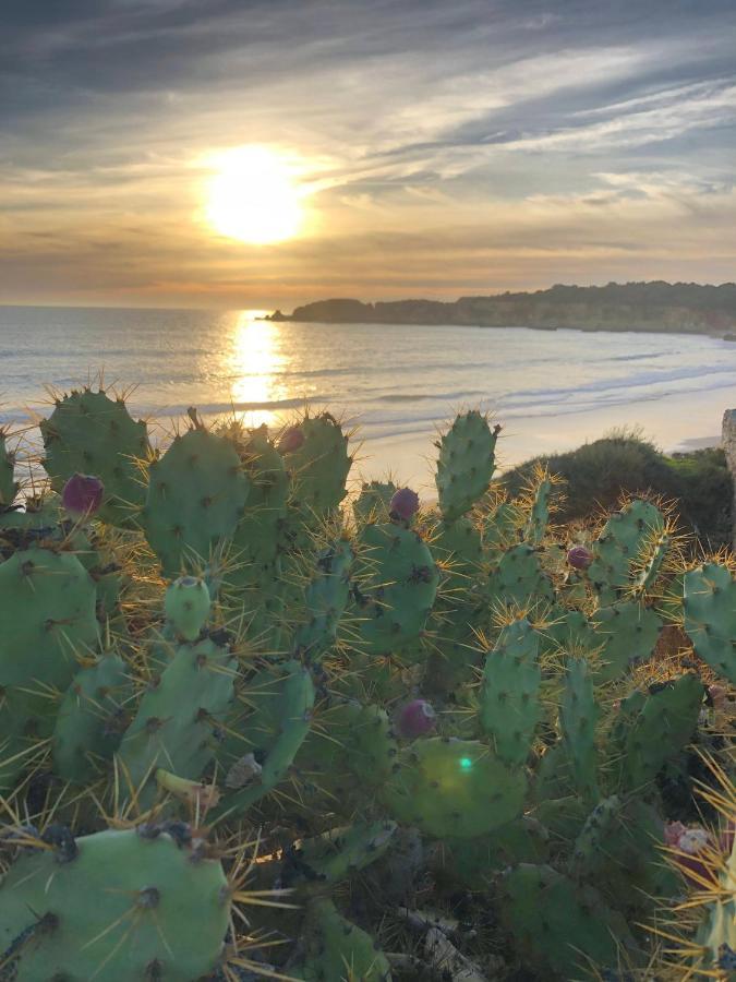 Sol E Mar Bemposta Lejlighed Alvor Eksteriør billede